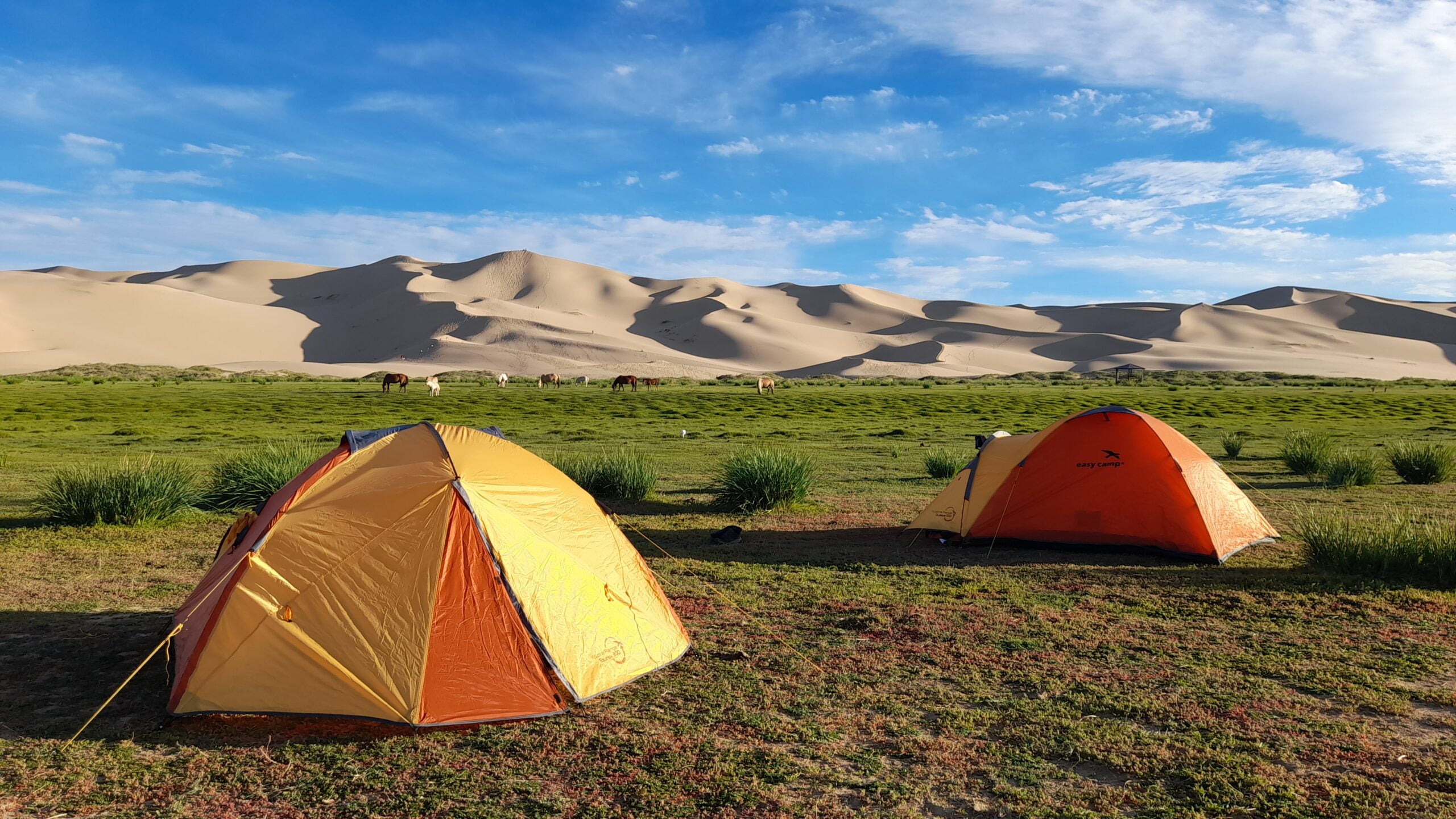Mongolei — Gästebuch