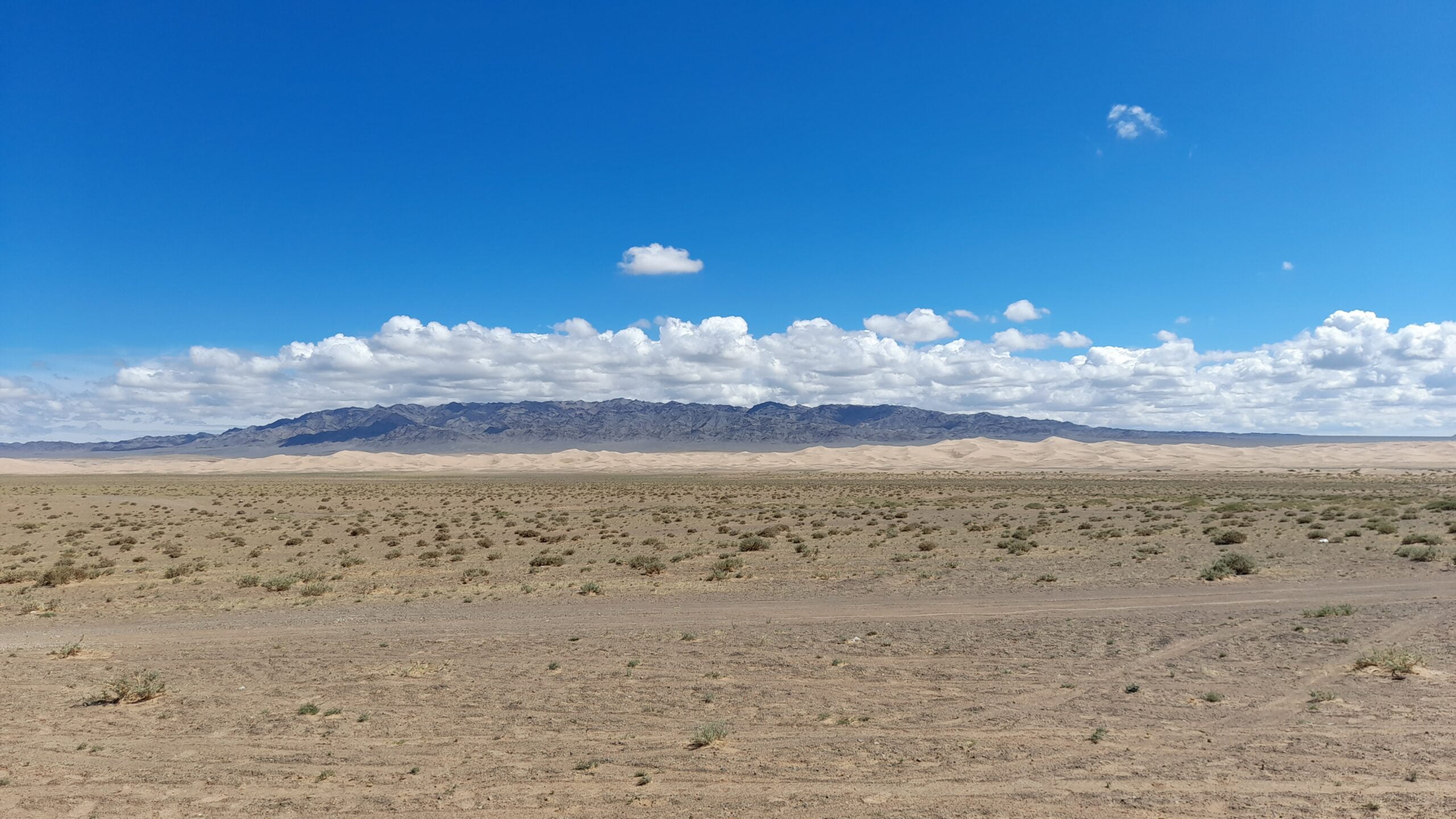 Reisen durch die Mongolei